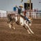 JULY 22, 2017 NORWOOD COLORADO - Cowboy bucks bronco during San Miguel Basin Rodeo, San Miguel. Horse, USA
