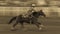 JULY 22, 2017 NORWOOD COLORADO - Cowgirl rides fast for best time during San Miguel Basin Rodeo,. Sport, competition