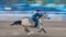 JULY 22, 2017 NORWOOD COLORADO - Cowgirl rides fast for best time during San Miguel Basin Rodeo,. Woman, competition