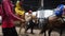 July 5th 2022 Katra, Jammu and Kashmir, India. Horse back ride service at Shri Mata Vaishno Devi , a hindu Pilgrimage