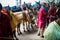 July 5th 2022 Katra, Jammu and Kashmir, India. Ponies and Palki Porter service at Shri Mata Vaishno Devi , a hindu Pilgrimage