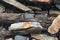 Jumble of colorful rocks falling off the ledges on the coast of Maine in the early morning light