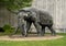 `Jumbo` by artist Tom Tischler, a life-size mammoth sculpture on the grounds at Fair Park in Dallas, Texas.