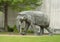 `Jumbo` by artist Tom Tischler, a life-size mammoth sculpture on the grounds at Fair Park in Dallas, Texas.