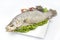 Jumbo Fish Specialties - 7th Lunar Month