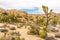 Jumbo Rocks formation in the Joshua Tree N.P.