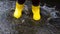 Jump through puddles in yellow rubber boots. Walk in rain and enjoy the bad weather falling into childhood and running through wet