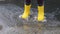 Jump through puddles in yellow rubber boots. Walk in rain and enjoy the bad weather falling into childhood and running through wet