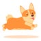 Jumping corgi icon cartoon vector. Cute dog