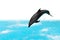 Jumping Dolphin