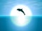 Jumping dolphin on the background of the moon