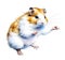 Jumping hamster on white background isolated. Cute little pet, ginger and white