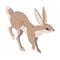 Jumping Hare or Jackrabbit as Swift Animal with Long Ears and Grayish Brown Coat Vector Illustration