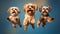 Jumping Joy 3 Cute Shih Tzu Dogs Catching Treats on Isolated Background. Generative AI