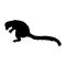 Jumping Lemur Lemur Catta On a Side View Silhouette Found In Map Of Africa. Good To Use For Element Print Book, Animal Book