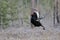 Jumping male Black Grouse at swamp courting place early in the m