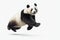 Jumping Moment, Panda On White Background