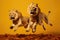 Jumping Moment, Two Lion On Yellow Background
