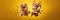 Jumping Moment, Two Pomeranian Dogs On Yellow Background Jumping Moment, Pomeranian Dogs, Yellow Bac