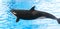 Jumping orca on the blue water background