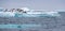 Jumping penguin. An Adelie (AdÃ©lie) penguin dives into sea from an iceberg.