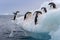 Jumping penguin. An Adelie (AdÃ©lie) penguin jumps on to an iceberg.