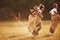 Jumping sack race outdoors in the field. Kids have fun at sunny daytime