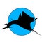 Jumping sailfish in a light blue circle design