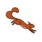 Jumping squirrel vector illustration