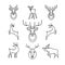 Jumping and standing deers, moose, antlers