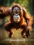 Jumping Wild Orangutan