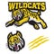 Jumping wildcats mascot in sport mascot style