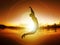 Jumping Woman Silhouette Freedom Sunset Energy Life Free