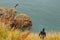 Jumps from Cliff at Howth Dublin County Ireland, Irish Sea