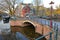 The junction between Prinsengracht Canal and Reguliersgracht Canal, with reflections of a heritage bridge and colorful facades