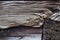 Juncture of old, weathered wood timbers showing side and end grains and burn marks