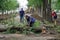 June 11, 2020, Russia, Magnitogorsk. Three utility workers are sawing and disposing of old trees felled by the wind. Possible