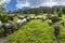 June 26, 2021 Lysych mountain meadow, Carpathians, Ukraine. Traditional sheep breeding in the Carpathians. A shepherd in the mount