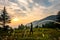 June 28th, 2023, Nagthat, Uttarakhand, India: Trekker with stick in meadow at sunset, embraced by mountain ridge and pine trees.