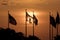 JUNE 7, 2018, Jersey City, New Jersey, USA - Group of US Flags at sunset Liberty State Park, New Jerssey