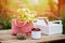 June or july garden scene with fresh picked organic wild strawberry and chamomile flowers on wooden table outdoor