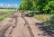 June landscape with an earth road beside wheat agricultural field