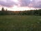 June sunset over the forest and the field.
