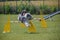 Jung amazing Bearded Collie agility intensive training