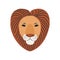 Jungle animal portrait lion head face
