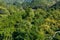 Jungle around the Perfume Pagoda at Hanoi in Vietnam