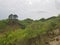 Jungle in azad Kashmir pakistan