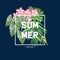 Jungle background with frame and type design - summer never ends