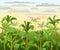 Jungle background. Plants rainforest. Beautiful green landscape with exotic trees and palms. Morning or evening sky