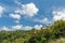 Jungle and Blue Sky in Barbados. Palm, Coconut, Banana tree and forest.